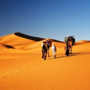 2-Day Zagora Desert Trip From Marrakech