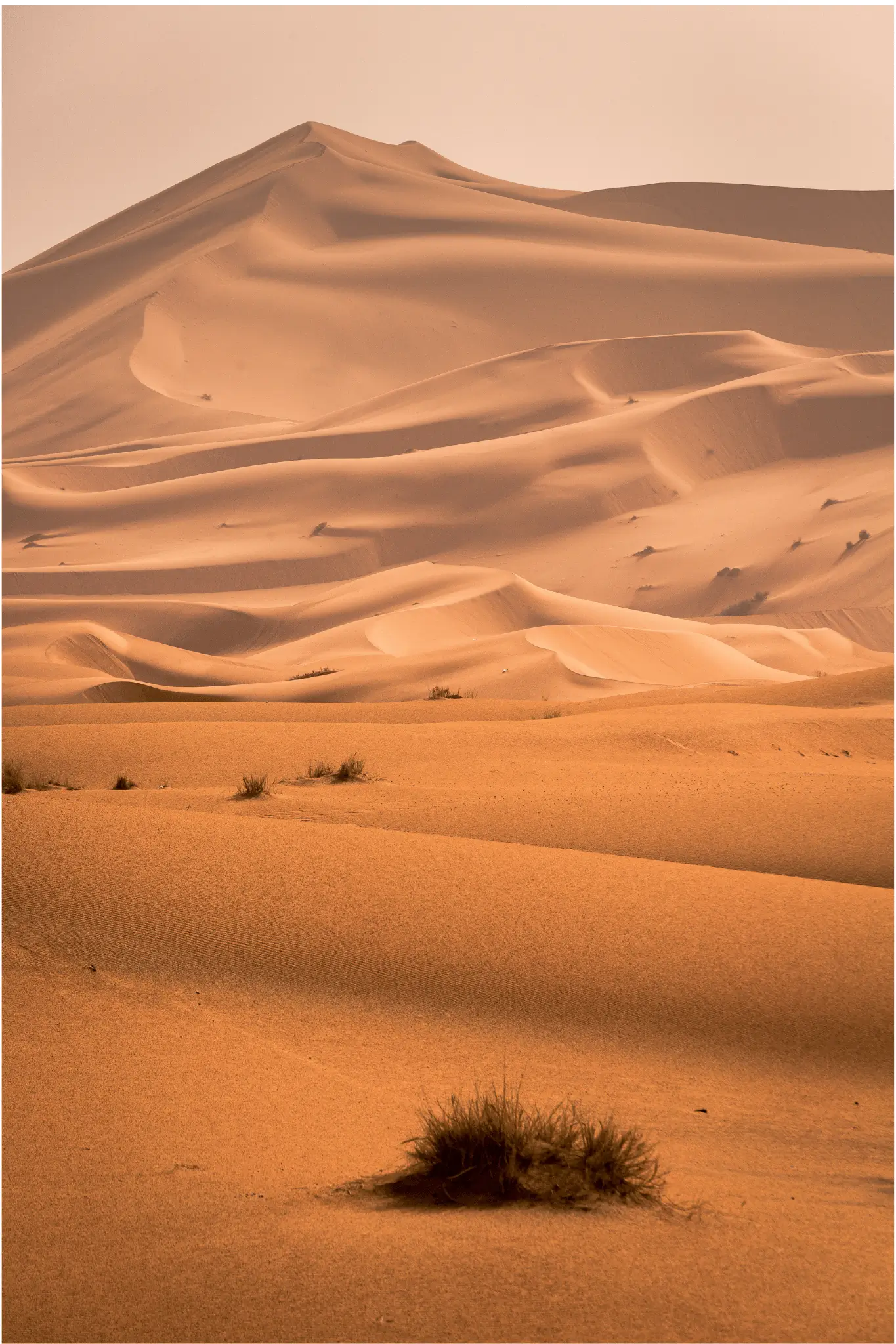 Sahara Desert